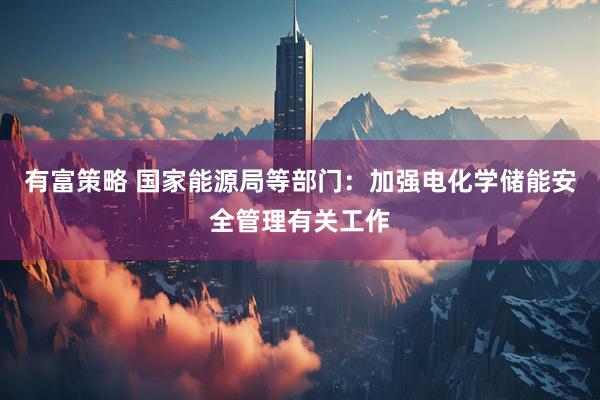 有富策略 国家能源局等部门：加强电化学储能安全管理有关工作