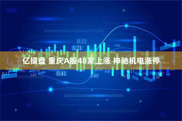 亿操盘 重庆A股48家上涨 神驰机电涨停
