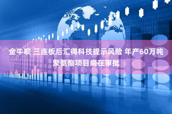 金牛呗 三连板后汇得科技提示风险 年产60万吨聚氨酯项目尚在审批