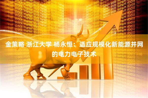 金策略 浙江大学 杨永恒：适应规模化新能源并网的电力电子技术