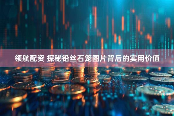 领航配资 探秘铅丝石笼图片背后的实用价值